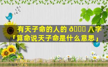 有天子命的人的 🐛 八字「算命说天子命是什么意思」